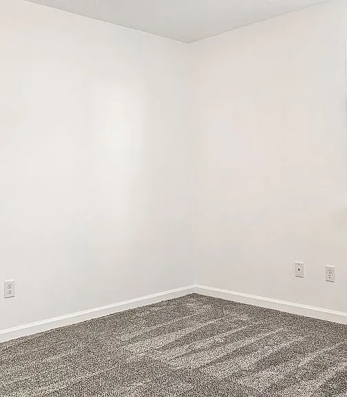Beautifully updated 4 Bedroom/2 Bathroom downstairs apartment — Photo 12
