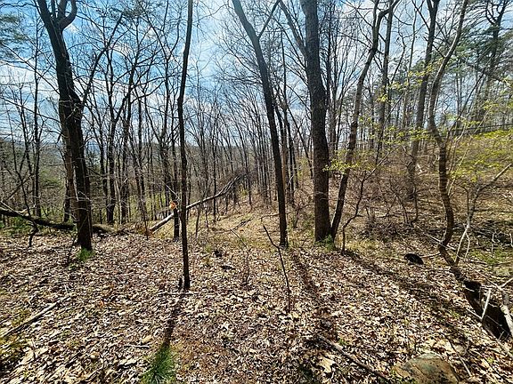 3rd image of Tbd Julia Simpkins Rd