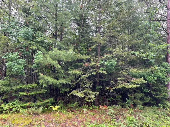 Kauffman Rd, Presque Isle, MI 49777