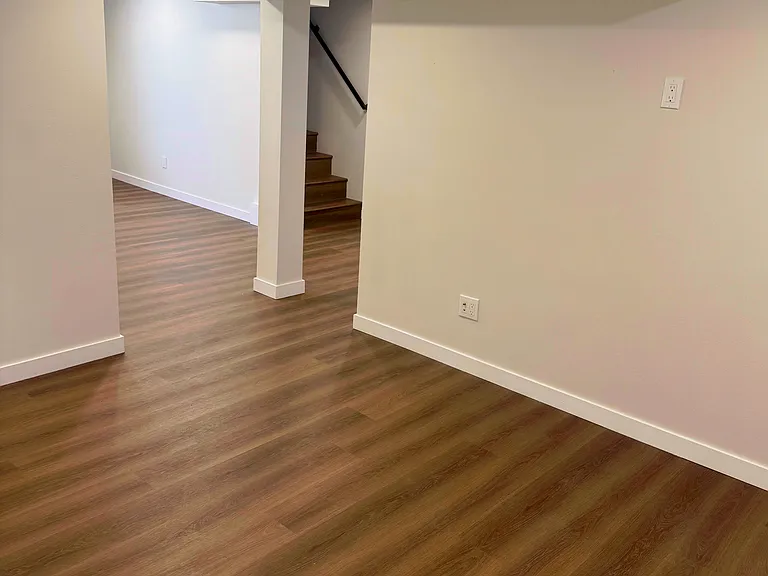 Basement Bonus/Media Room