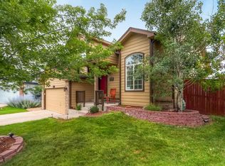 5462 Sweet Grass Ct, Castle Rock, CO 80109
