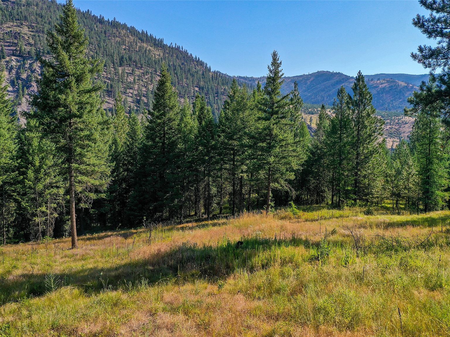 389 Whitewater Ln, Alberton, MT 59820 MLS 30010954 Zillow