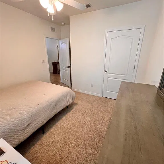 1267 Iguana Loop — Photo 13