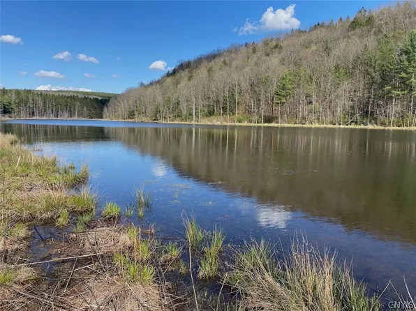 Reddy Rd, Belmont, NY 14813