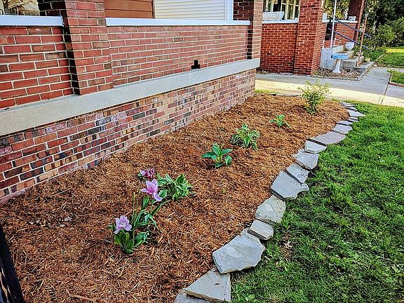 Slate Pavers and New Plants
