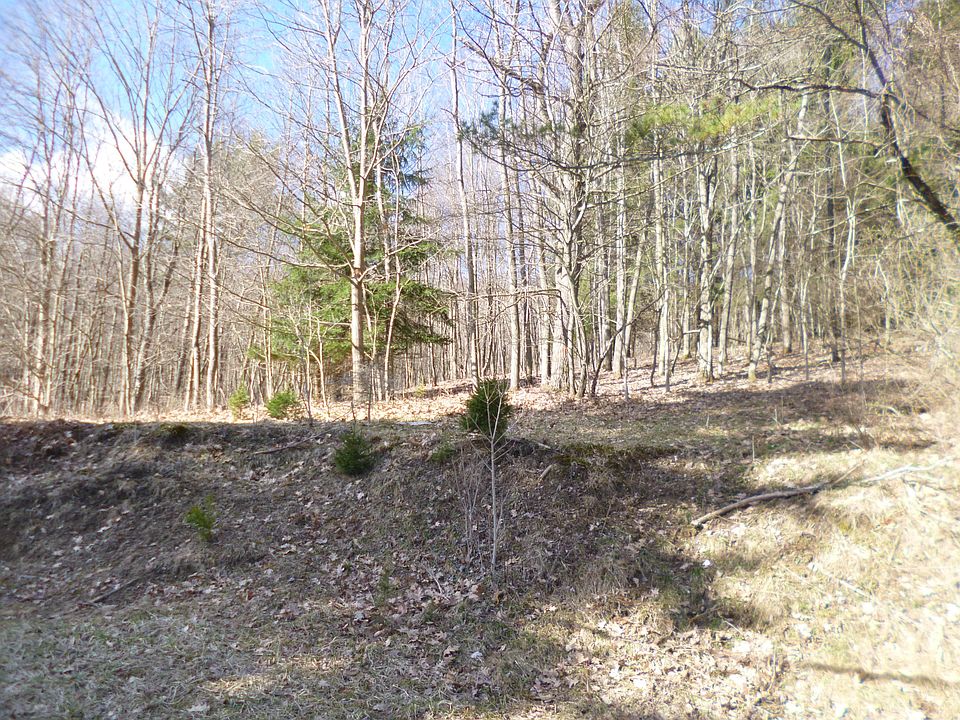 2nd image of Shawmut Rd