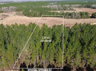 LOT 43 Mineral Springs Rd, Jay, FL 32565