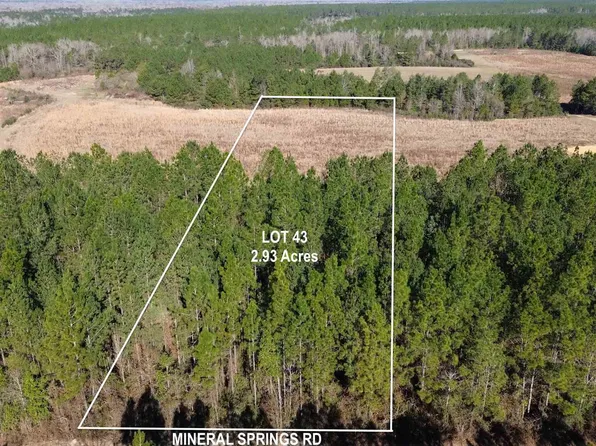 LOT 43 Mineral Springs Rd, Jay, FL 32565