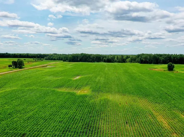 +/-196.61 Acres WIESE DRIVE, Rib Lake, WI 54470