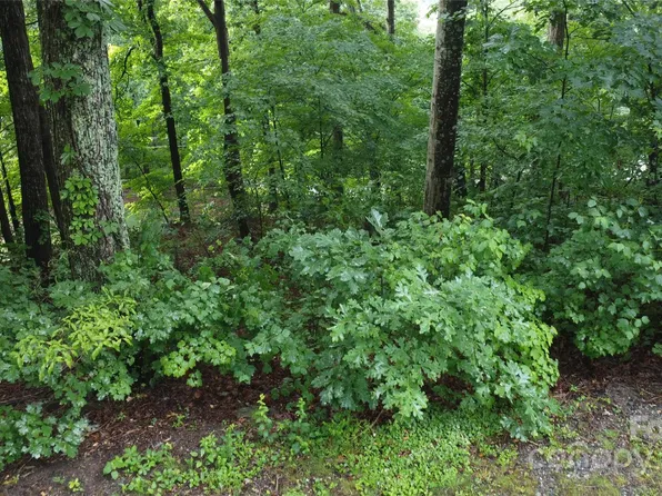 46 Hemlock Trl N, Columbus, NC 28722