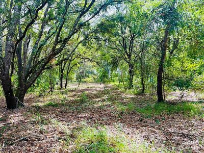 Pine Island Rd, Clermont, FL, 34711