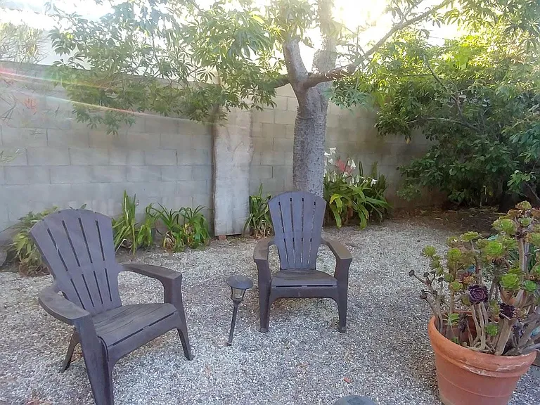 Beautifully landscaped back yard with fruit trees.