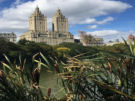 Rented by DJK Residential | media 19