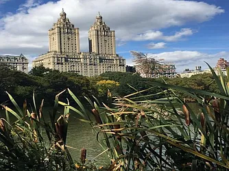 Rented by DJK Residential