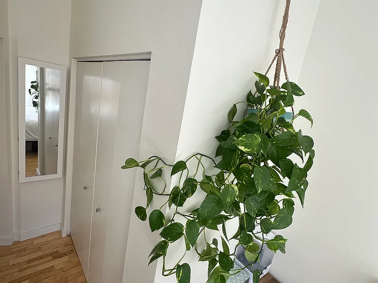 2422 Tremont Pl #103 — Photo 4
