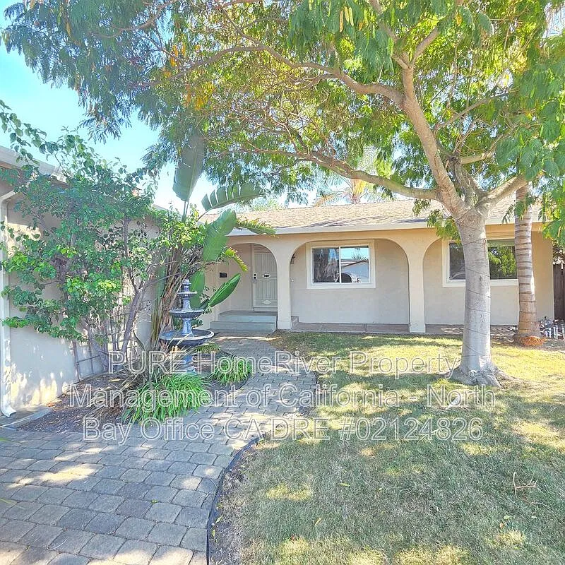 3 bed, 2.0 bath, 1300 sqft, $3,500 — Photo 2