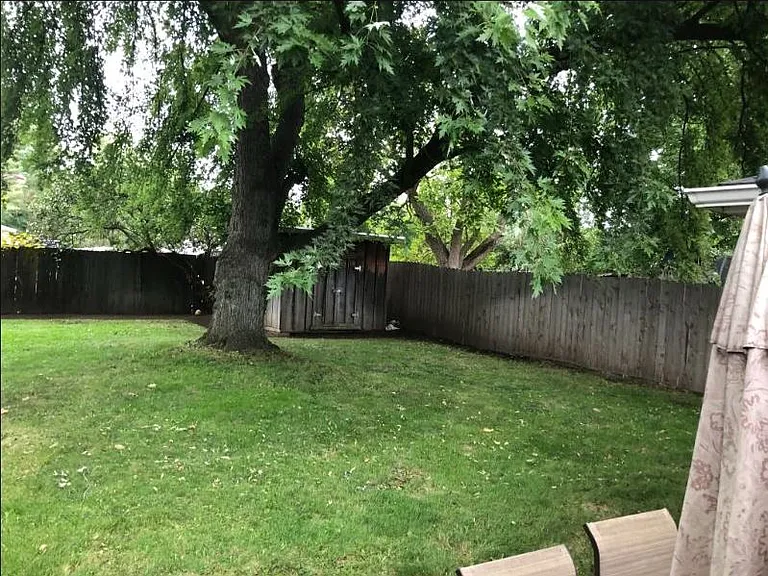 Big back yard