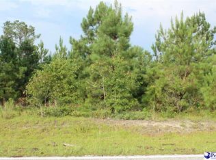 1642 Dingo Ln, Darlington, SC 29532