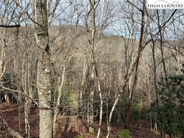 19 Speckled Drive, Laurel Springs, NC 28644