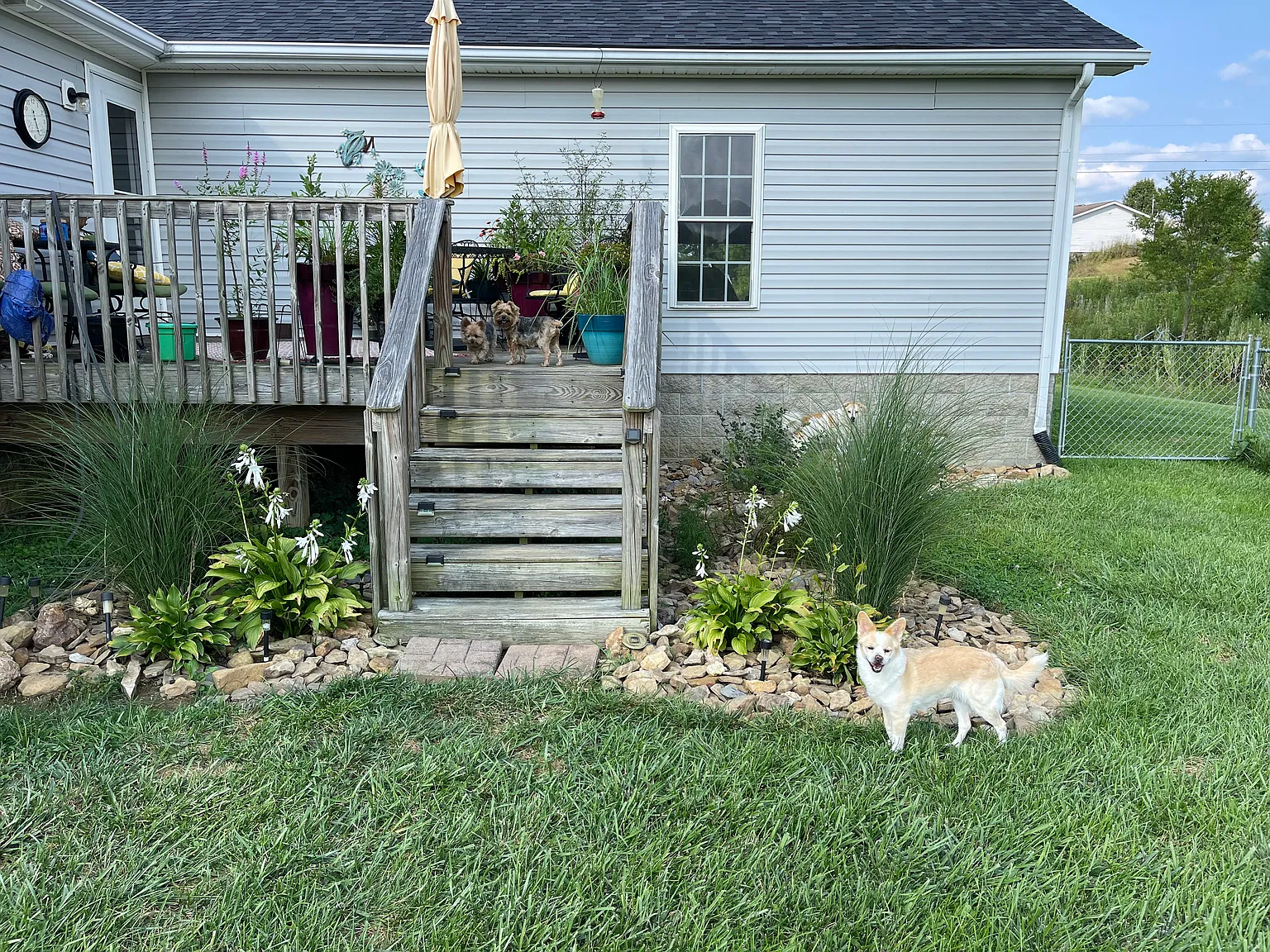 3 bed, 1700 sqft, $1,850 — Photo 4