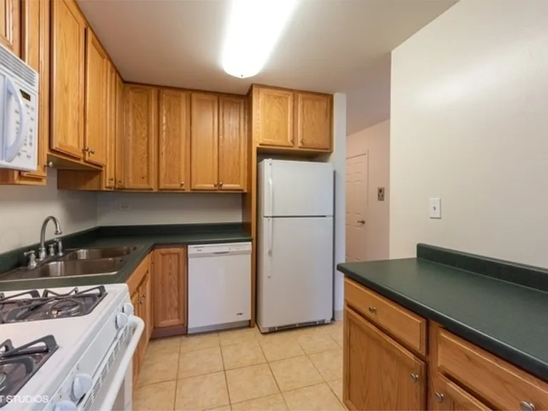 461 N Jonathan Dr #101 — Photo 9