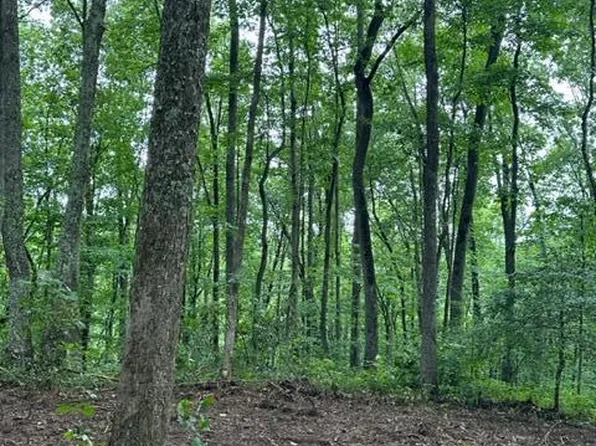 LOT 340 Deep Branch Ln, Wilder, TN 38589