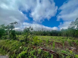 0 Willie Adams Rd, Cadwell, GA 31009