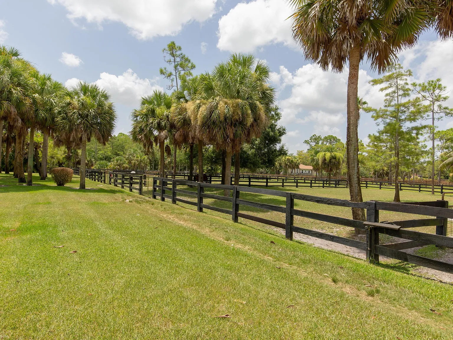 3 bed, 3.5 bath, 3802 sqft, $15,000 — Photo 3