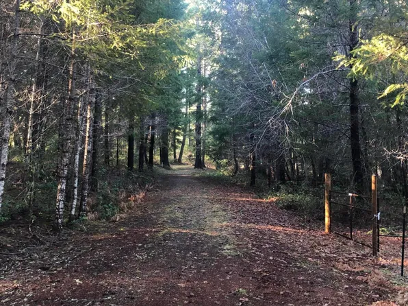 Idlewild Dr, Cave Junction, OR 97523