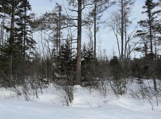 W Thirteen Mile Rd, Dafter, MI 49724