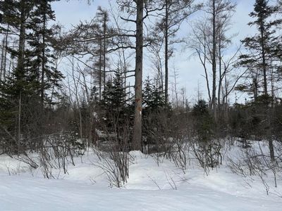 W Thirteen Mile Rd, Dafter, MI, 49724