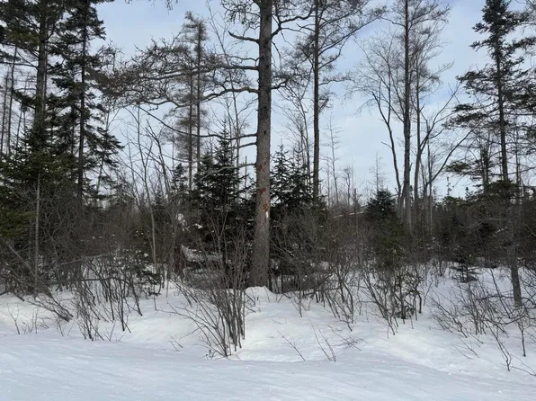 W Thirteen Mile Rd, Dafter, MI 49724