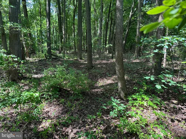 LOT 7 Maple Rd Lot 7, Stevensville, MD 21666