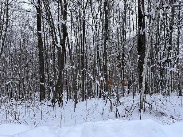 Lot 46 Holly Lake Lane, Stone Lake, WI 54876