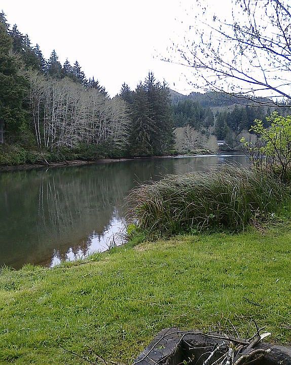 Coyote Rock Peninsula Forest