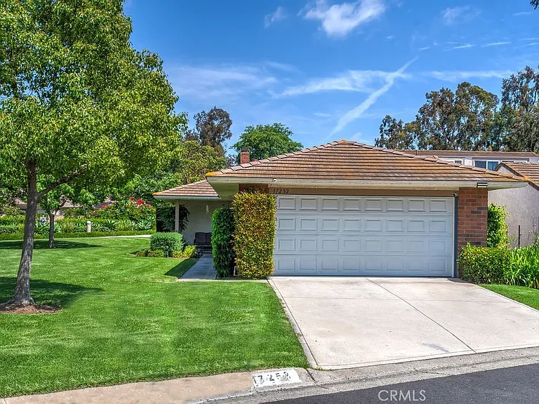 17252 Citron — Photo 3