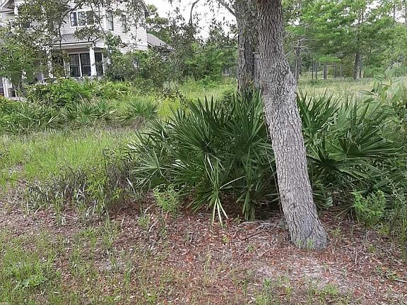 3rd image of 1212 W Water Oak Bnd
