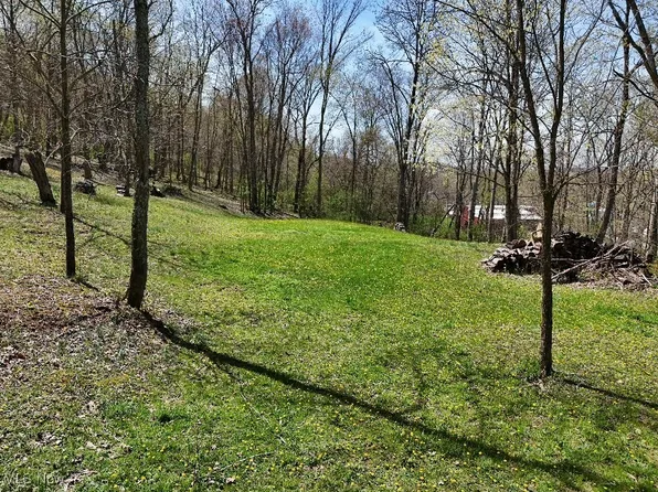 County Road 39, Bloomingdale, OH 43910