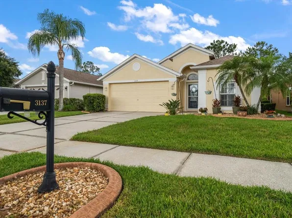 3137 BANYAN HILL LANE, LAND O LAKES, FL 34639