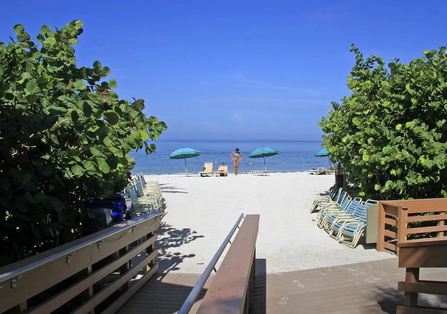 ** Beautiful Updated Furnished 2/2 Condo In Wild Pines Bonita Bay, Bonita Springs** — Photo 4
