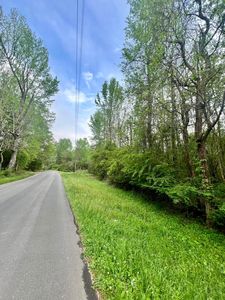 Riverside Dr, Hamilton, AL, 35570