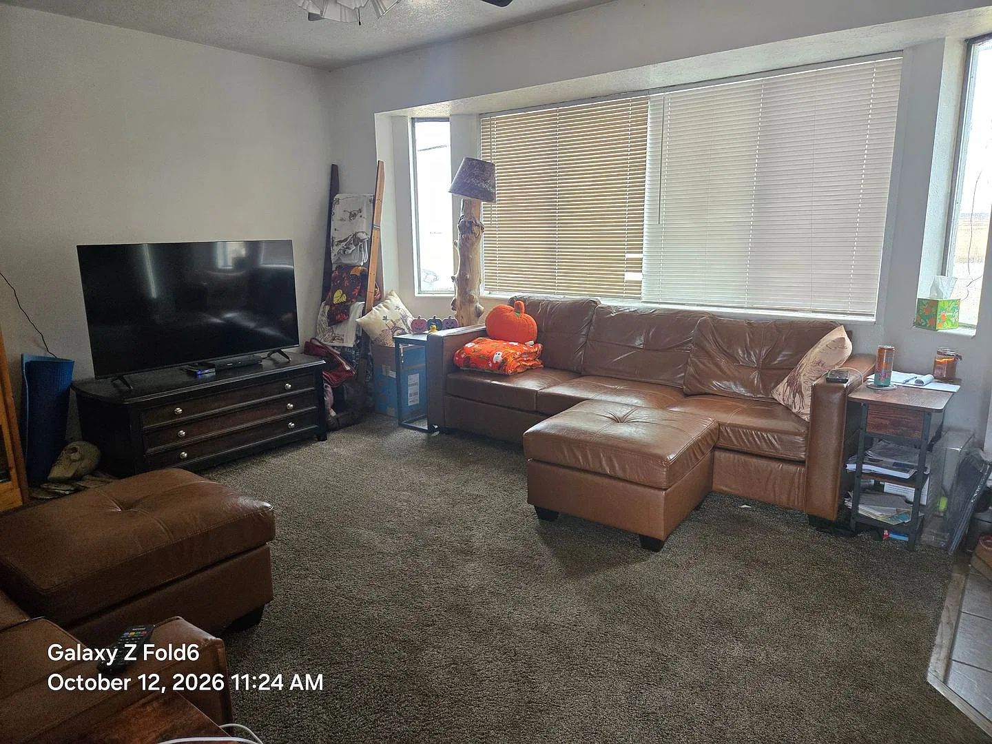 Martin House — Photo 4