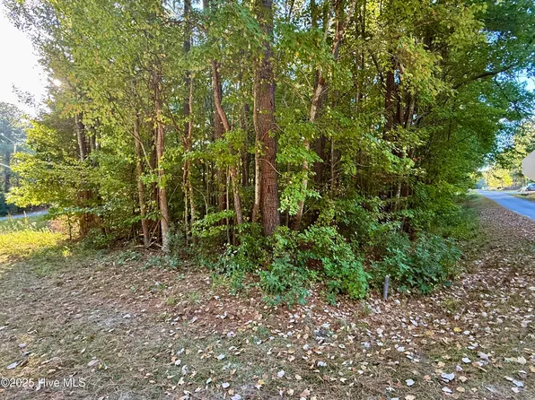 Tbd Clark Street, Hertford, NC 27944