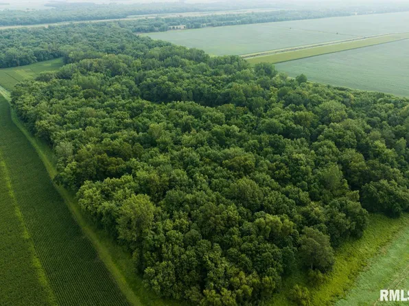 Oo N Gumtown Rd, Virginia, IL 62691