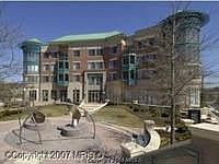 1st image of 1450 Emerson Ave APT 205