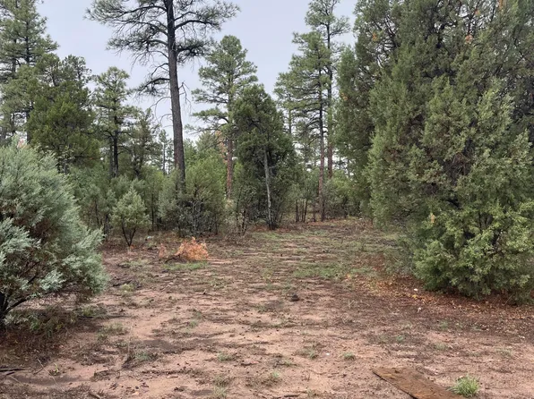 720 S Mountain Pines Ave, Show Low, AZ 85901