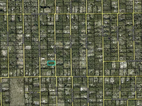 1848 Elder St, Bunnell, FL 32110