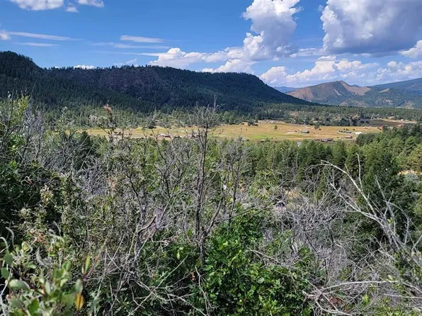 196/164 Jennifer's Place, Pagosa Springs, CO 81147