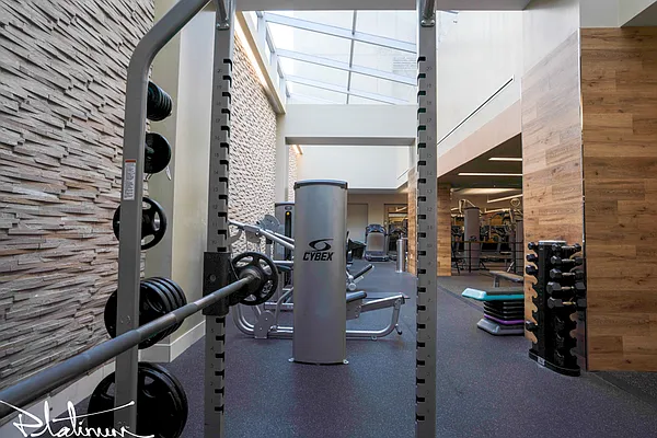 Rented by Platinum Properties | media 15