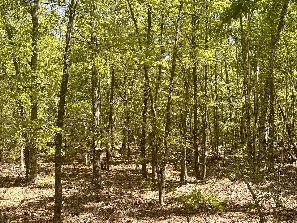 2nd image of 0 Dukes Rd